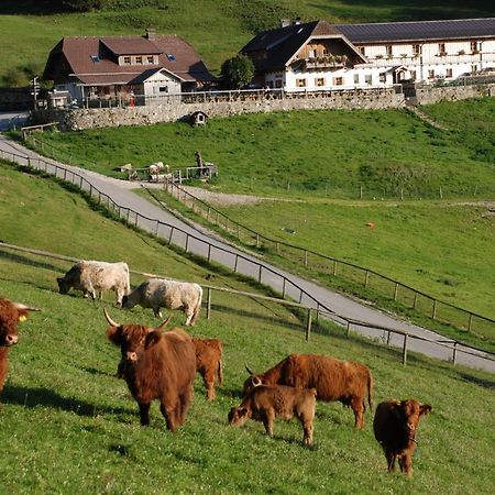 Ferienwohnung Hochsteinalm Traunkirchen Exterior foto