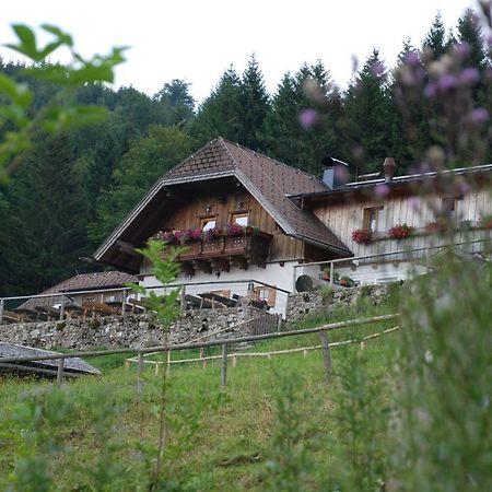 Ferienwohnung Hochsteinalm Traunkirchen Exterior foto